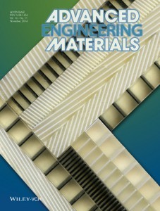  Anisotropic materials developed by Asst. Prof. Stephan Rudykh, on the front cover of the scientific journal, “Advanced Engineering Materials” November 2014 edition, Volume 16, Issue 11, courtesy of WILEY-VCH Verlag GmbH & Co. KGaA 