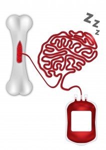 תמונת הדמיה - כך משפיעה השינה על נדידת תאי גזע בהקשר של תרומת מוח עצם. אילוסטרציה: דימה אבלסקי. 