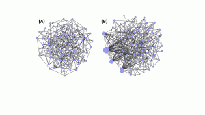 Networks with homogeneous (A) and heterogeneous (B) structure used in the study on exploratory adaptation.  In homogeneous networks, each node affects several others and no coherence is achieved, therefore exploration  does not converge. In heterogeneous networks, a few large “hubs” (larger sized circles) dominate the  dynamics and lead the network towards convergence in exploration.