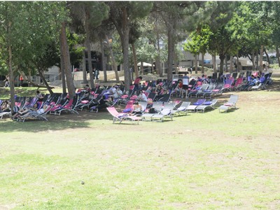 הכסאות בדשא המרכזי של הטכניון המשמשים למפגש סטודנטים וללמידה בחוץ. צילום : שרון צור, דוברות הטכניון
