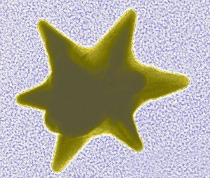  Transmission electron microscope (TEM) image of a star-shaped nanoparticle