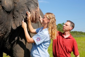 Dr. Joshua Schiffman of the University of Utah’s Huntsman Cancer Institute in Salt Lake City, Utah, with Dr. Ashley Settle, Director of Veterinary Care at Ringling Bros. Center for Elephant Conservation, performing blood tests. Photo Credit: Feld Entertainment, The University of Utah Health Sciences Center 