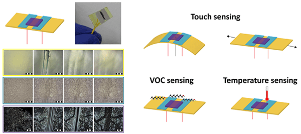 Top left: Schema and photograph of the self-healing chemiresistor consisting of a transparent (yellowish) self-healing substrate, jelly-like self-healing electrode, and pliable induced self-healing AuNP film.                                                                    Bottom left: The ethoxyphenylcapped AuNP film coated on the sh-crl-PU substrate before and after cutting, and then during healing. Within 10 minutes, the seonsor begins to repair itself and return to normal.                                               Right: Illustration characterizing the self-healing components of the chemiresistor