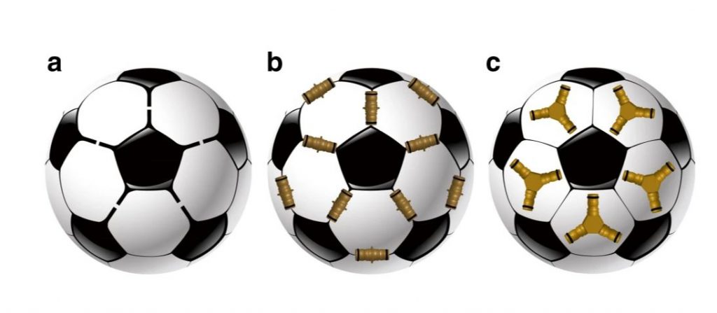 באיור: שלוש אסטרטגיות אפשריות לבניית כדורים מאריחים מחומשים. משמאל לימין: a - אריחים הנדבקים אלו לאלו באופן ישיר, b - אריחים הנקשרים באמצעות מחברים קוויים, c - אריחים הנקשרים באמצעות מחברים משולשים
