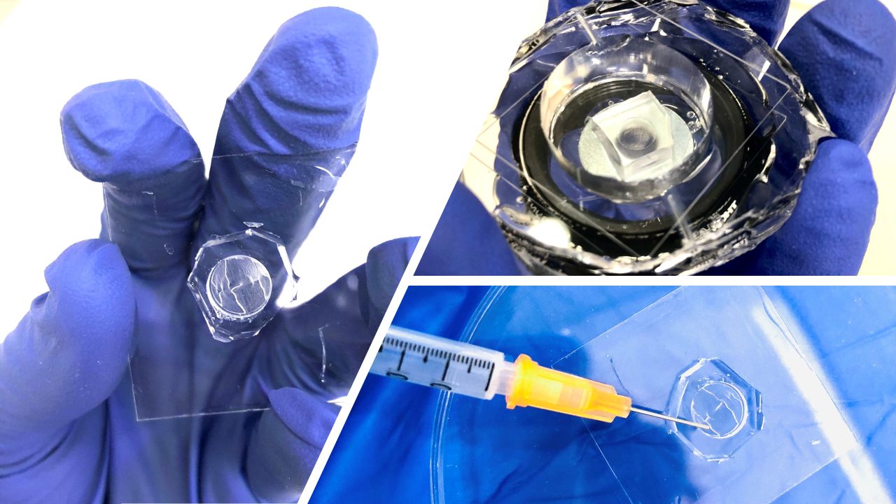 Advanced Optics for Science and Industry Technion Israel Institute