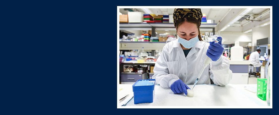 Engineering Ears in the Lab