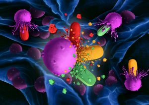 Artistic rendering of Technion researchers’ results, demonstrating that interactions among antibiotics often harm the effectiveness of the treatment. Published in Nature, the results undermine the general antimicrobial belief that “more is better,” showing that the clearance efficacy of drug cocktails is often weaker than that of any of the single drugs alone. (Credit: Eniko Kolliger)