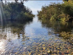 Lake Kinneret north bank (Kinneret Limnological Laboratory)