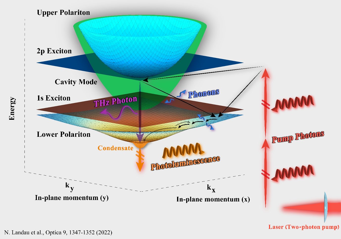 TwoPhoton Absorption into a Quantum Condensate