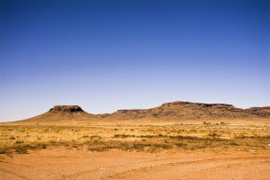 Mojave Desert, Arizona; Photo by Dr. Areej Mawasi