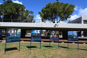 The exhibition at the Erna Finci Viterbi Lawn