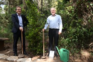 Prof. Ben Feringa (L) planting a tree, accompanied by Technion President Prof. Uri Sivan