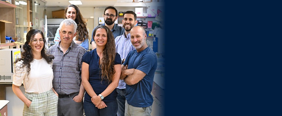 שינוי תוכנה