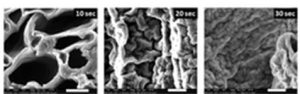 דפוסי התגבשות של ההידרוג'ל תחת זמני חשיפה שונים לגלי אולטרסאונד. צולם במיקרוסקופ אלקטרוני סורק