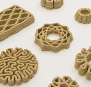 2biologically informed design קטלוג מורפולוגיות