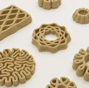 2biologically informed design קטלוג מורפולוגיות