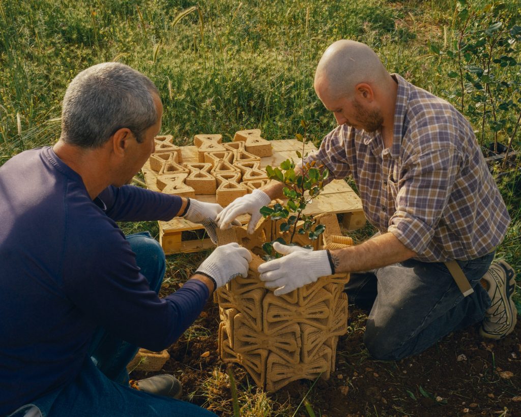 Assembly of the TreeSoil units around a carob sapling in the field by doctoral student Ofer Asaf and engineer Pavel Larianovsky. The modular structure creates a microclimate that supports the sapling’s establishment under extreme environmental conditions.