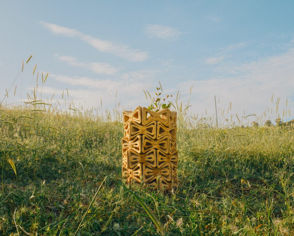 The assembled shelter on site – the final structure protects the carob sapling, creates a microclimate that supports its growth, and gradually biodegrades back into the soil.