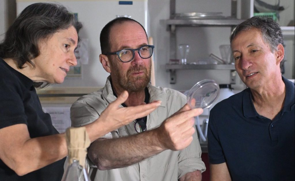 2.From left to right: Prof. Debbie Lindell, Prof. Oded Béjà, and Prof. Oded Kleifeld 