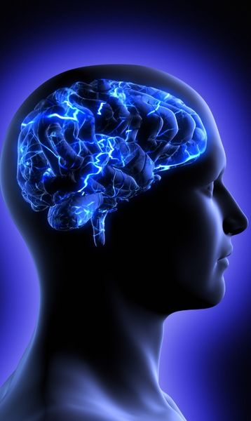 אילוסטרציה זיכרון