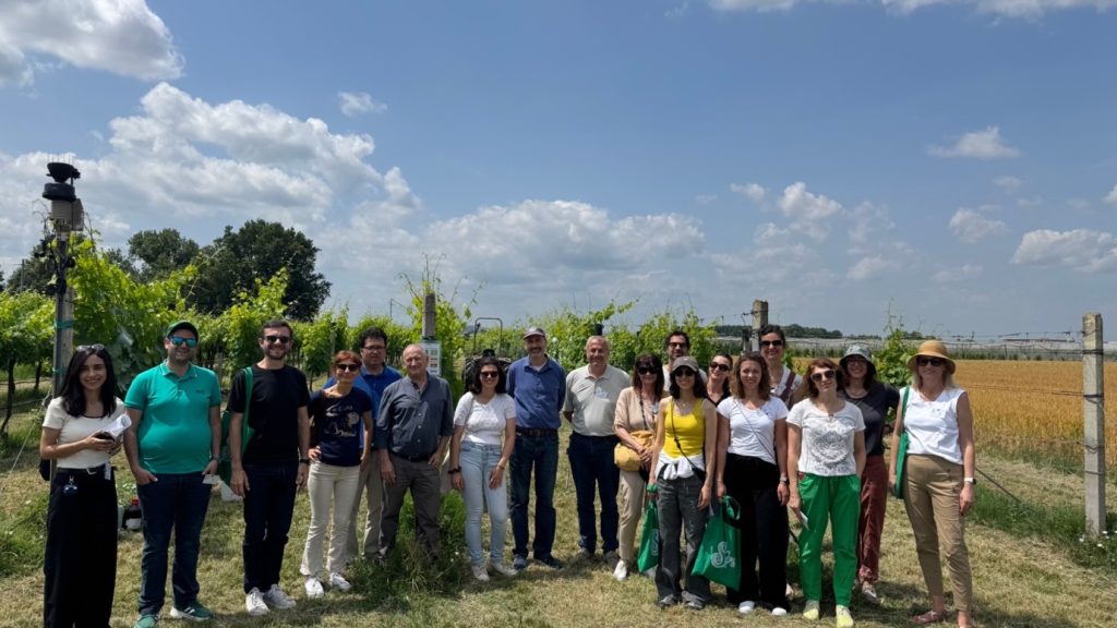 סטודנטים בשטח