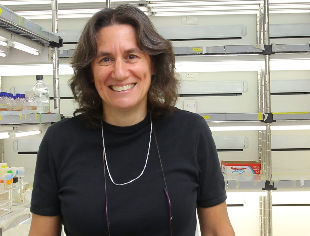 פרופ' דבי לינדל