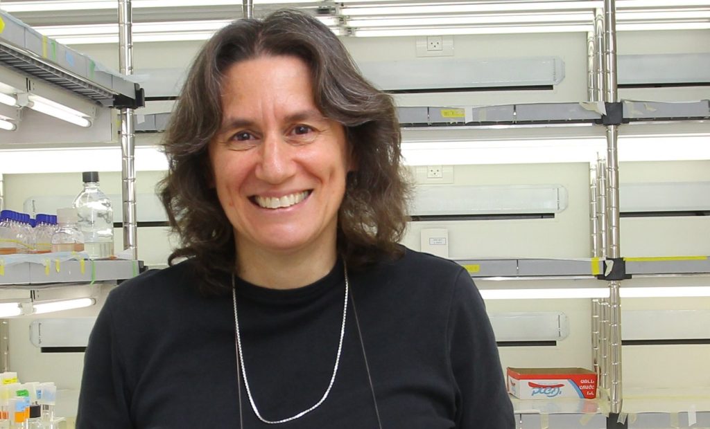 פרופ' דבי לינדל